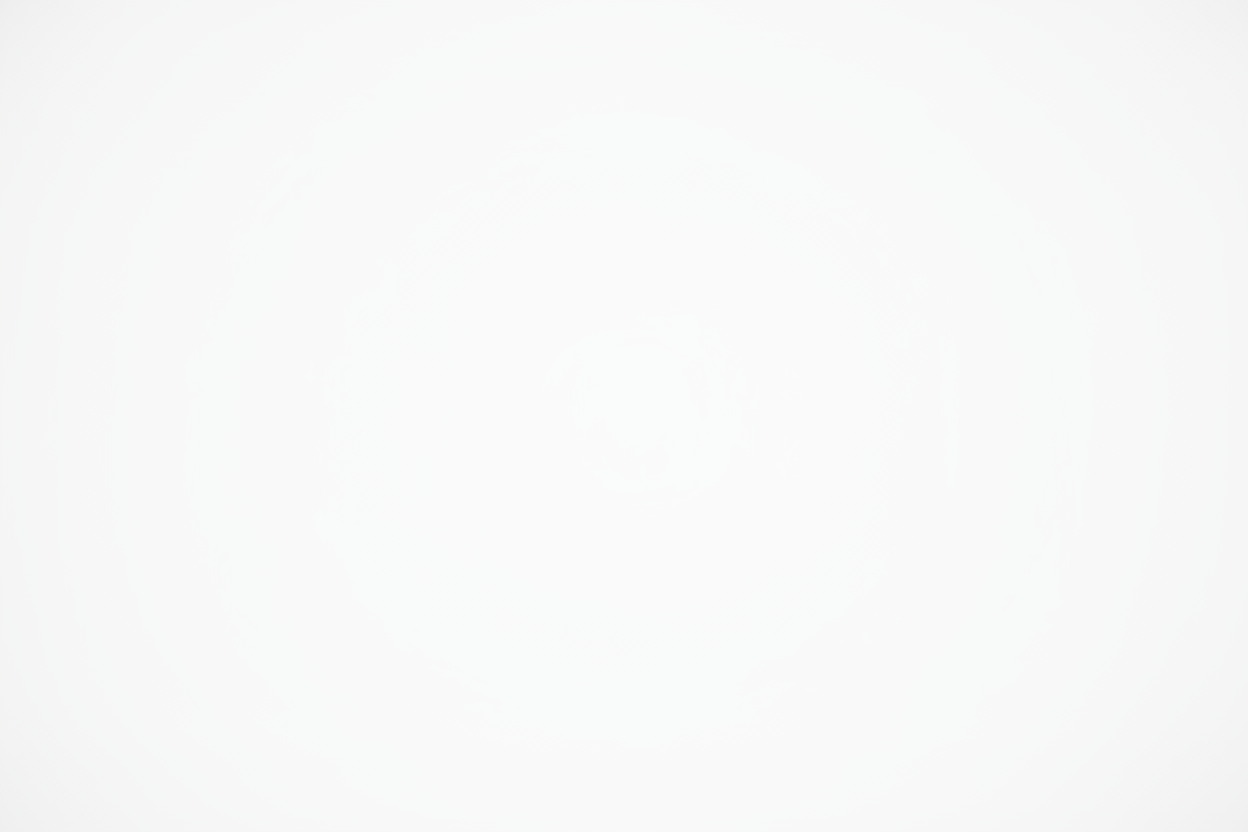 WHITE PLAIN BACKGROUND 